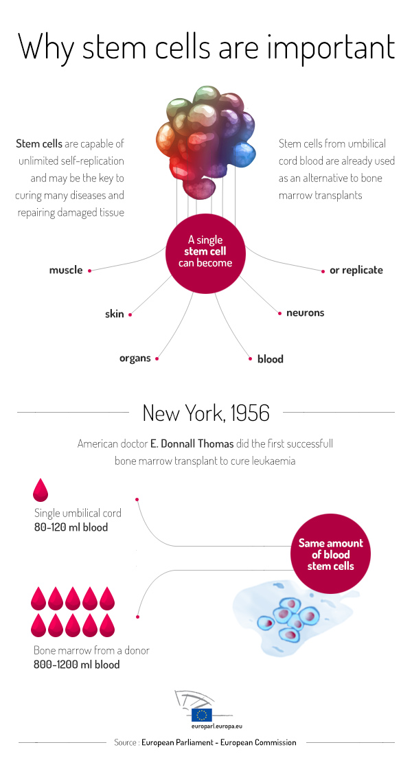 Cord blood uses
